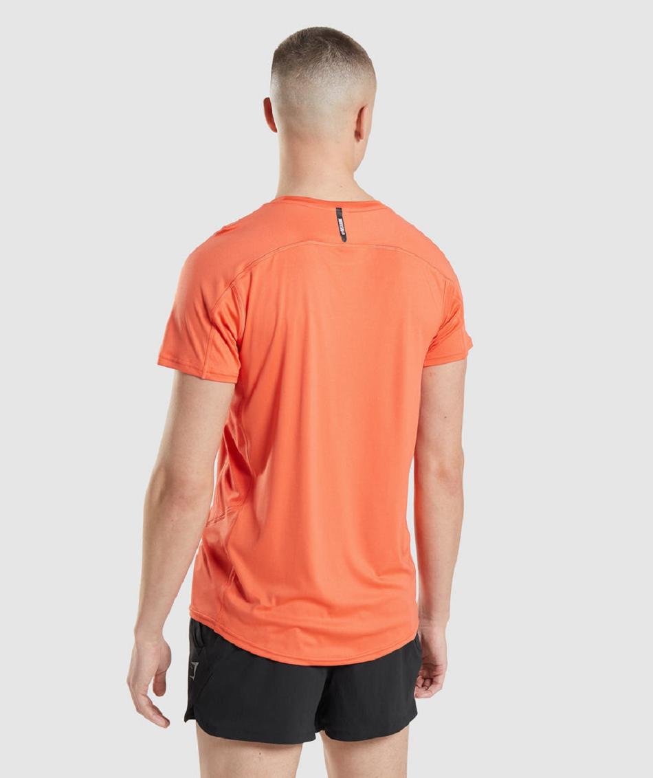 T Shirts Gymshark Speed Evolve Hombre Naranjas | CO 3448RVD